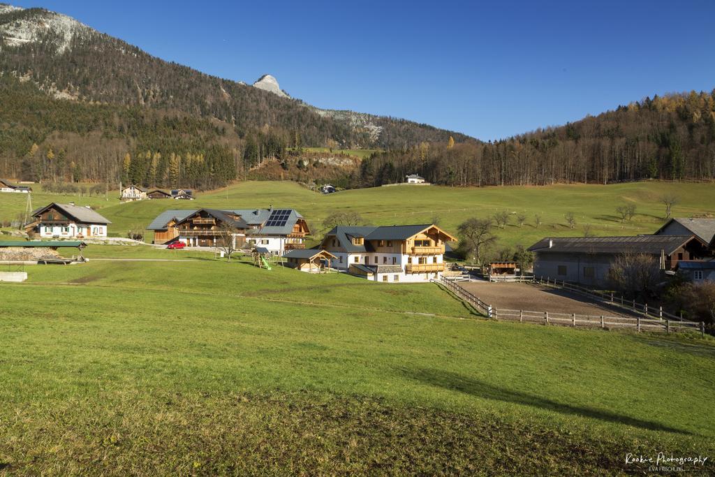 Vila Reiterhof Suassbauer Saint Wolfgang Exteriér fotografie